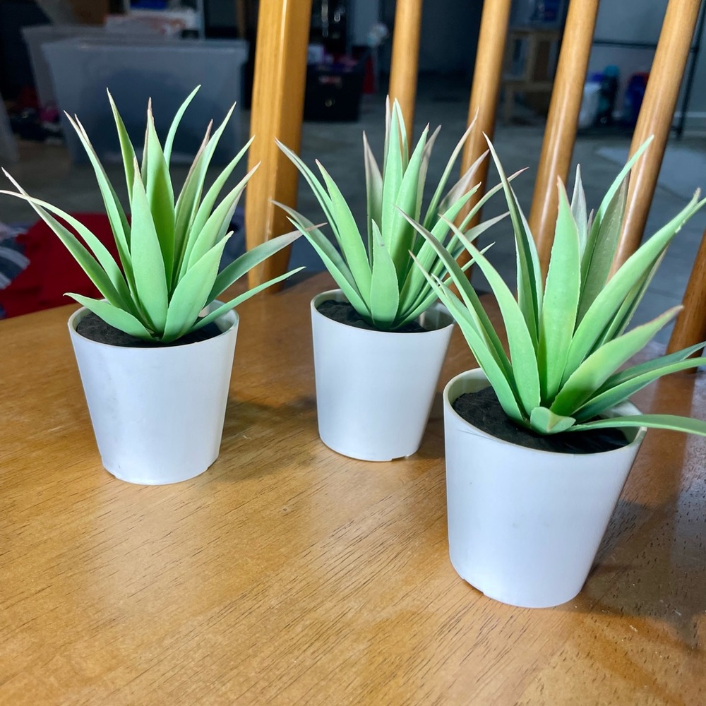 3 fake succulents